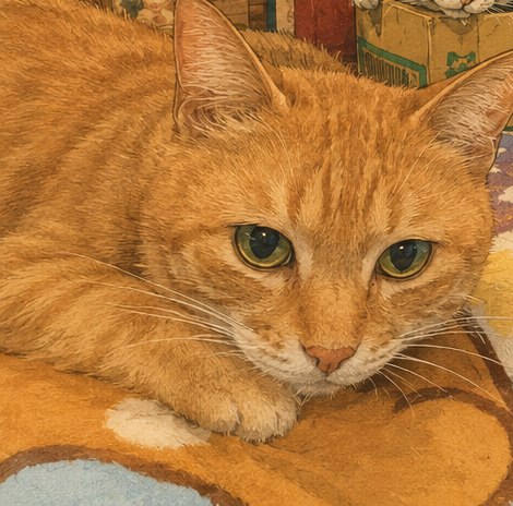 An orange tabby cat resting, looking toward the camera
